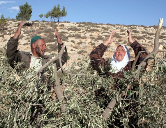 חקלאים פלסטינים