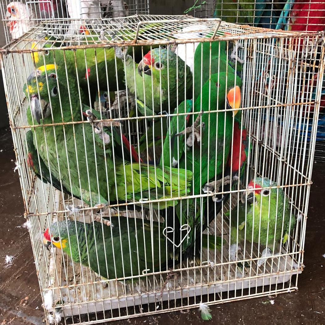 למצולם אין קשר לנאמר