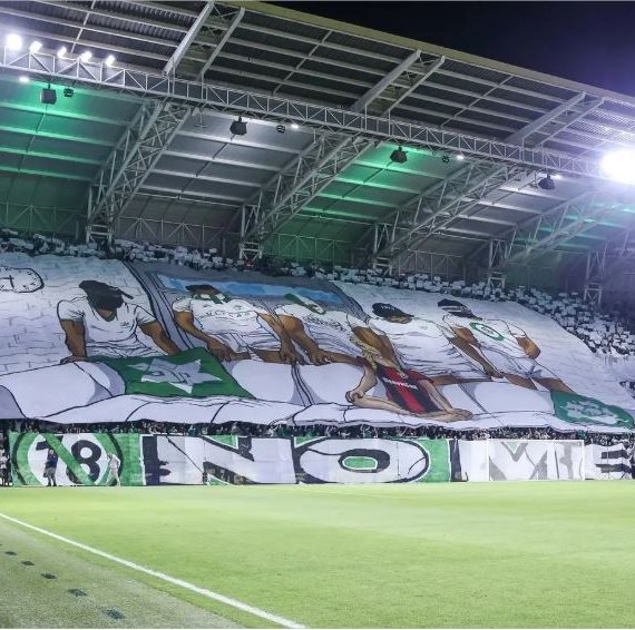 הדגל שהונף ביציע מכבי חיפה