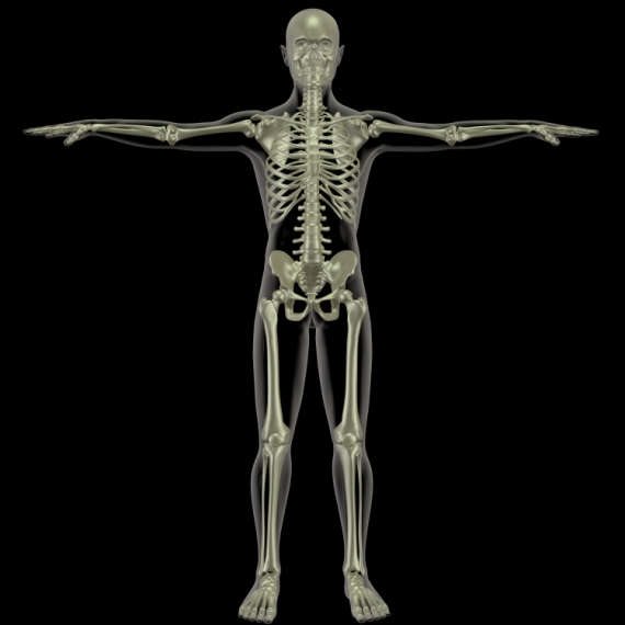 אילוסטרציה