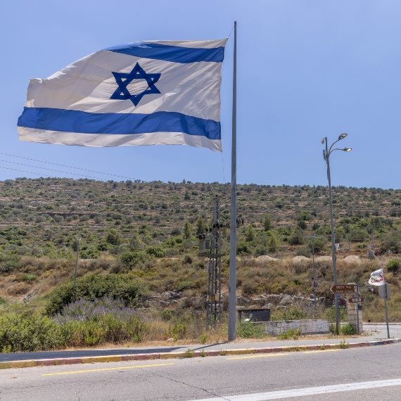 דגל ישראל, ארכיון